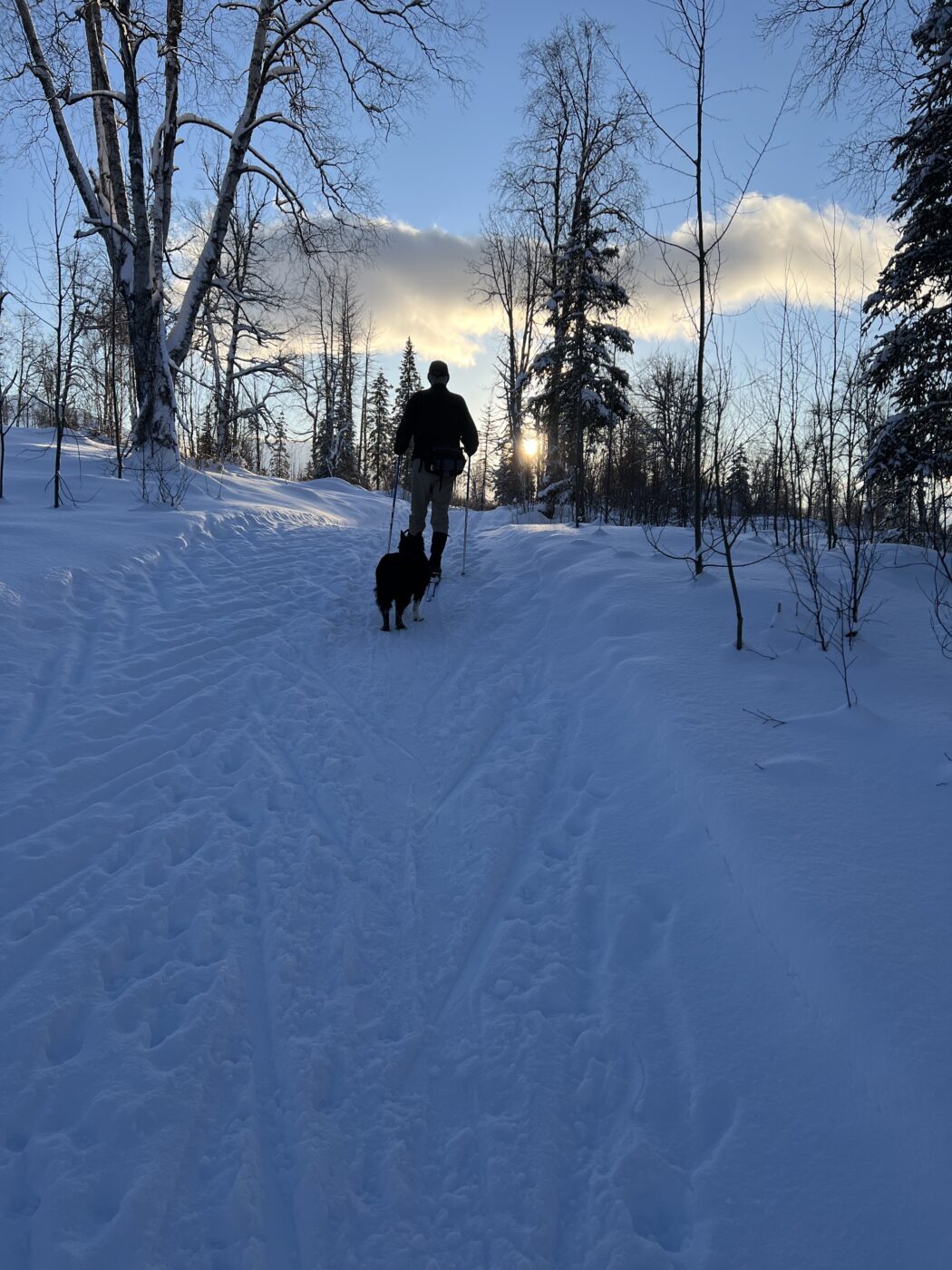 skiing, Devil's Creek snow trails, snow trails, trails, fun